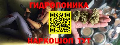 индика Нальчик