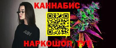 индика Нальчик