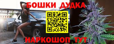индика Нальчик