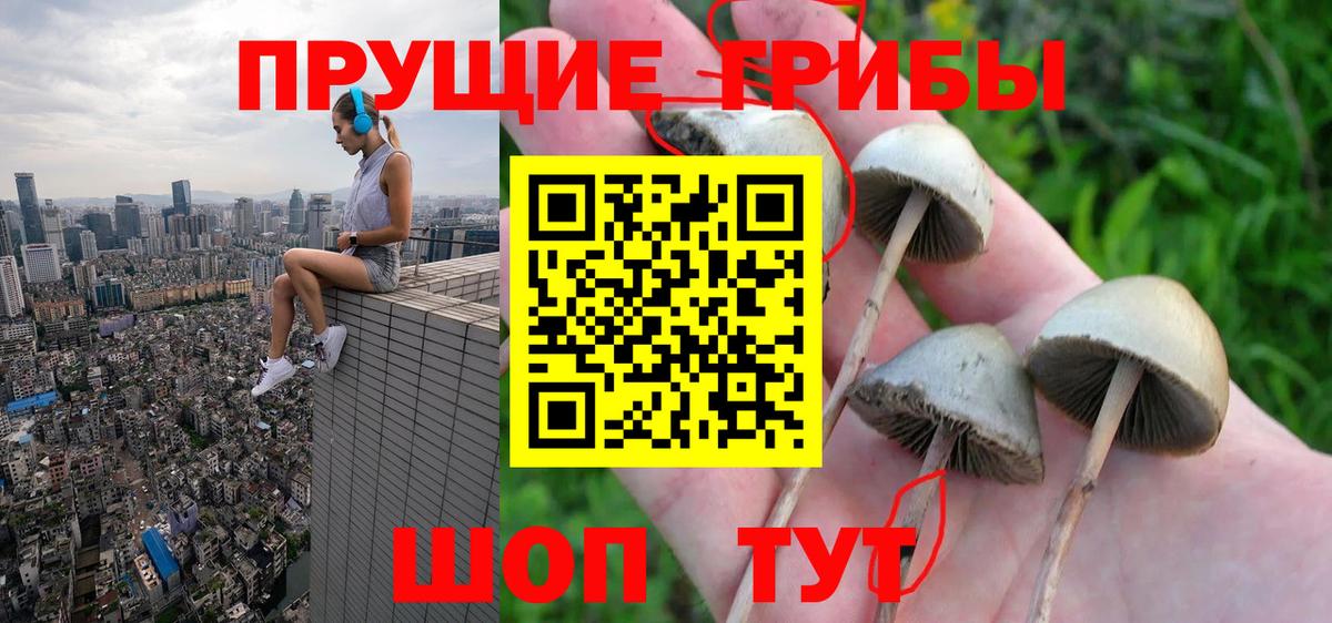 Галлюциногенные грибы мухоморы  Вход с VPN  Усолье-Сибирское  Псилоцибиновые грибы MAGIC MUSHROOMS 